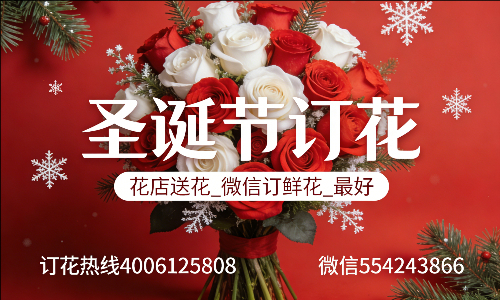 ���ݲ����ػ���